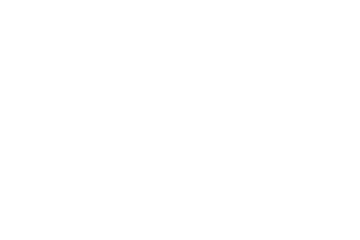 Start Electric Services Inc.